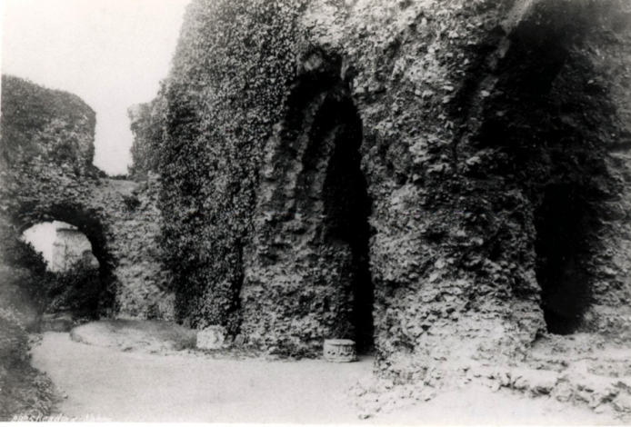 Reading Abbey Ruins