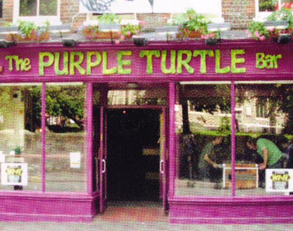 36. The Purple Turtle – Readipop Projects